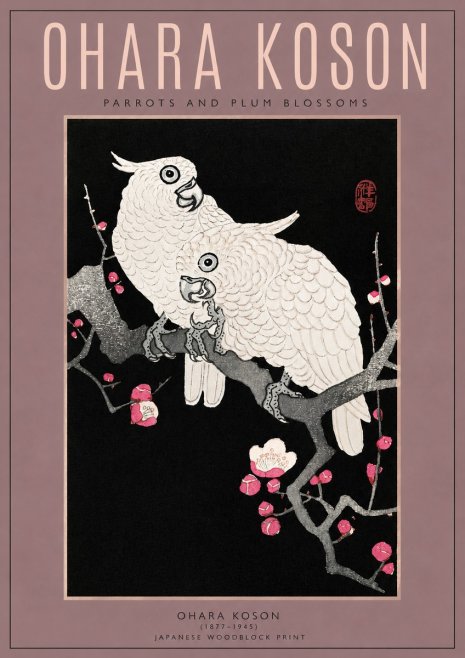 Ohara Koson Parrots and Plum Blossoms No3 - Poszter