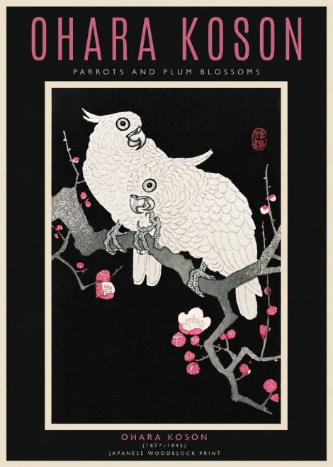Ohara Koson Parrots and Plum Blossoms No4 - Poszter