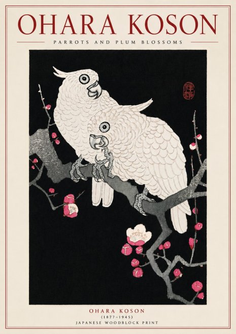 Ohara Koson Parrots and Plum Blossoms No5 - Poszter