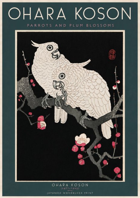 Ohara Koson Parrots and Plum Blossoms No6 - Poszter