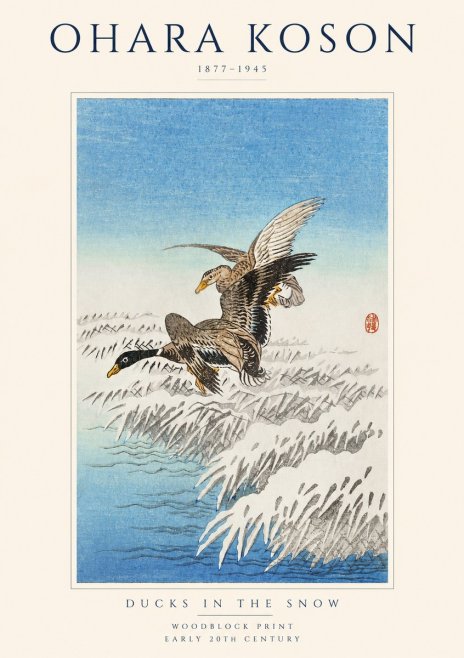 Ohara Koson Ducks in the Snow No1 - Poszter