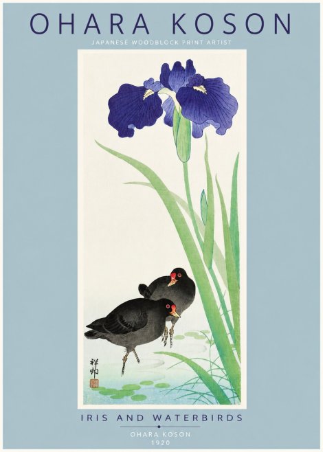 Ohara Koson Iris and Waterbirds No2 - Poszter
