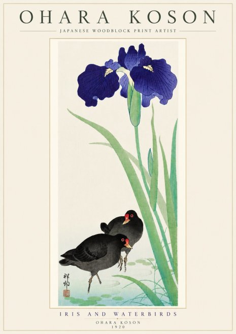 Ohara Koson Iris and Waterbirds No5 - Poszter