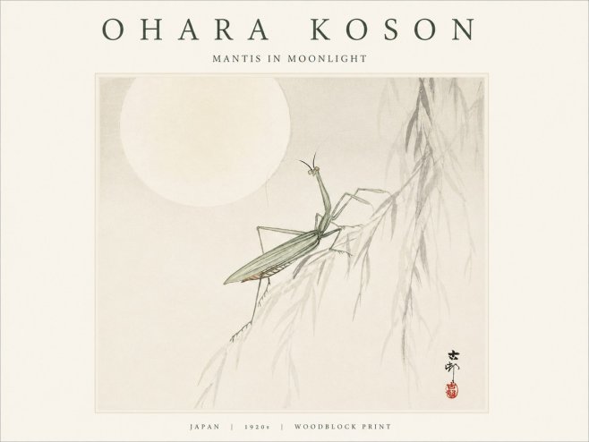 Ohara Koson Mantis in Moonlight No1 - Poszter