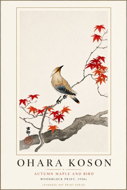 Ohara Koson Autumn Maple and Bird No3 - Poszter