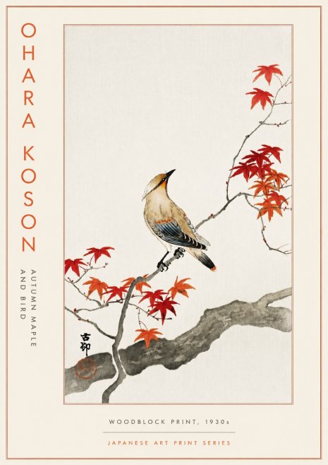 Ohara Koson Autumn Maple and Bird No5 - Poszter