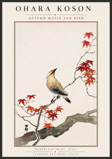 Ohara Koson Autumn Maple and Bird No6 - Poszter