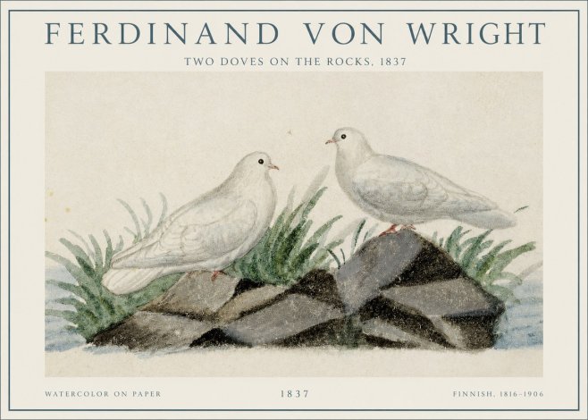 Ferdinand von Wright Two Doves on the Rocks, 1837 No1 - Poszter