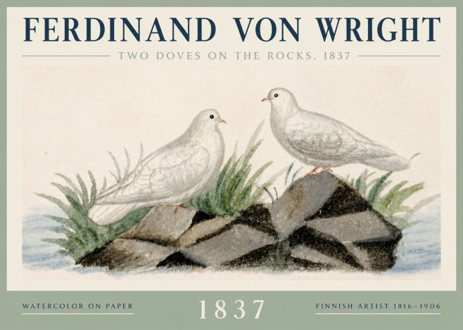 Ferdinand von Wright Two Doves on the Rocks, 1837 No3 - Poszter