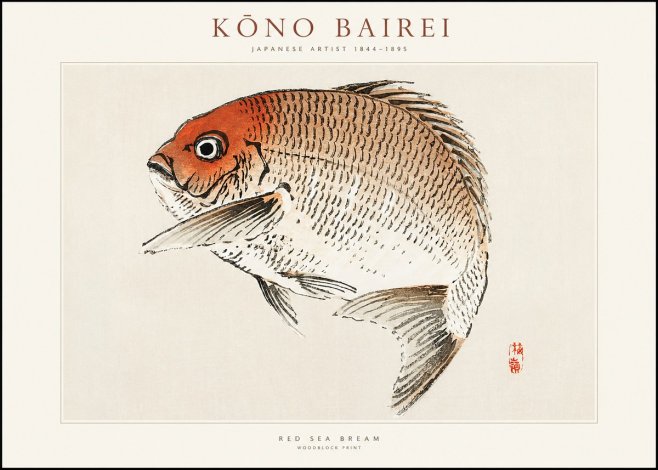 Kōno Bairei Red Sea Bream No1 - Poszter