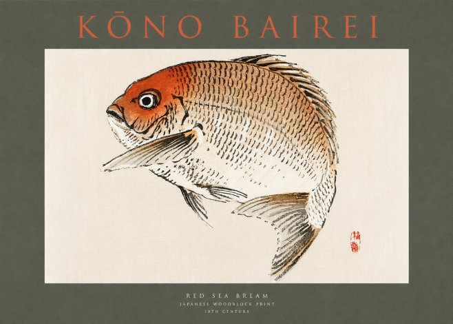 Kōno Bairei Red Sea Bream No2 - Poszter