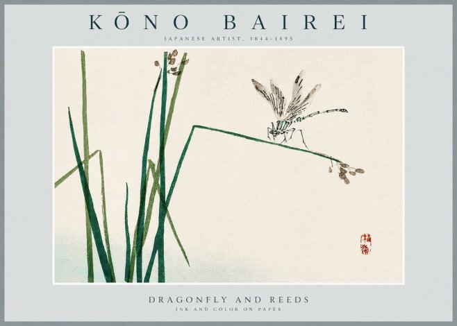 Kōno Bairei Dragonfly and Reeds No2 - Poszter