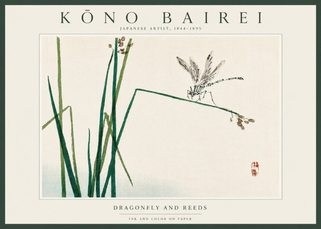 Kōno Bairei Dragonfly and Reeds No4 - Poszter