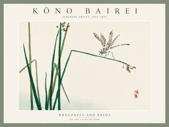 Kōno Bairei Dragonfly and Reeds No5 - Poszter