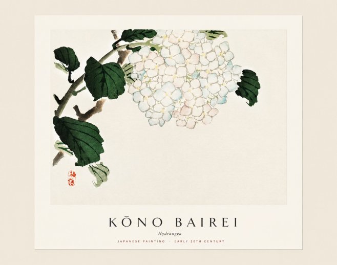 Kōno Bairei Hydrangea No1 - Poszter