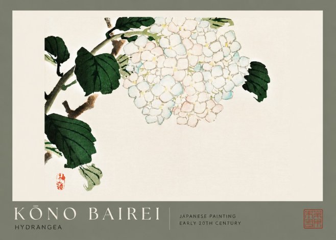 Kōno Bairei Hydrangea No2 - Poszter