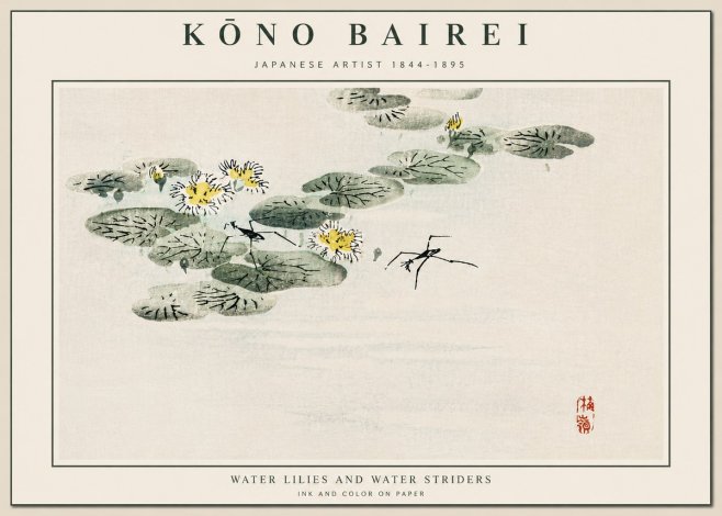 Kōno Bairei Water Lilies and Water Striders No5 - Poszter