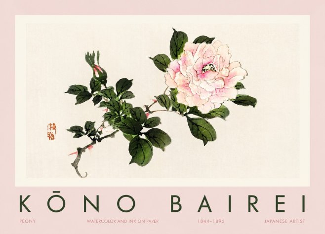 Kōno Bairei Peony I No2 - Poszter