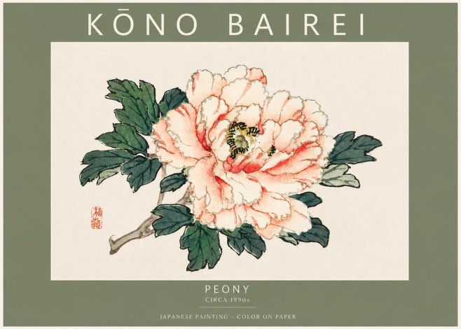 Kōno Bairei Peony II No2 - Poszter