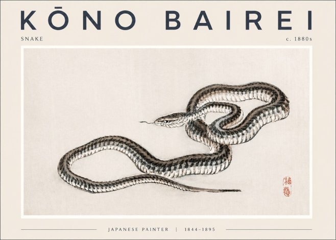 Kōno Bairei Snake No2 - Poszter