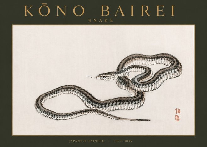 Kōno Bairei Snake No3 - Poszter