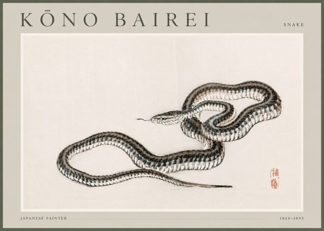Kōno Bairei Snake No4 - Poszter