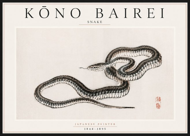 Kōno Bairei Snake No5 - Poszter