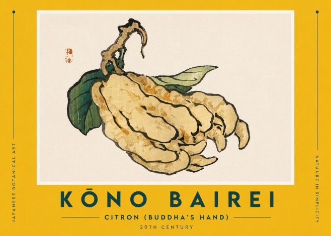 Kōno Bairei Citron (Buddha's Hand) No5 - Poszter