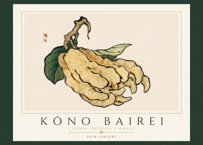 Kōno Bairei Citron (Buddha's Hand) No6 - Poszter