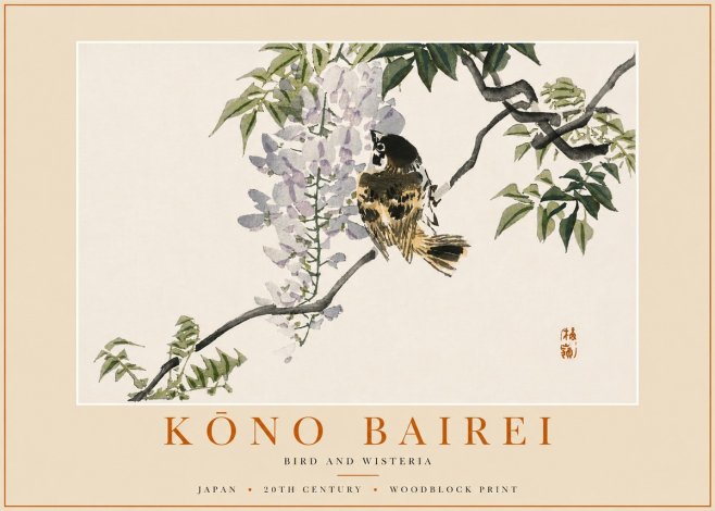Kōno Bairei Wisteria and Bird No6 - Poszter