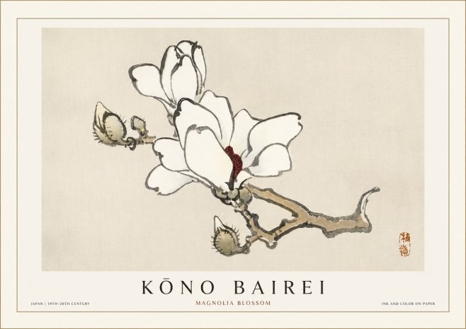 Kōno Bairei Magnolia Blossom No1 - Poszter
