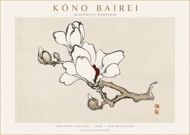 Kōno Bairei Magnolia Blossom No3 - Poszter
