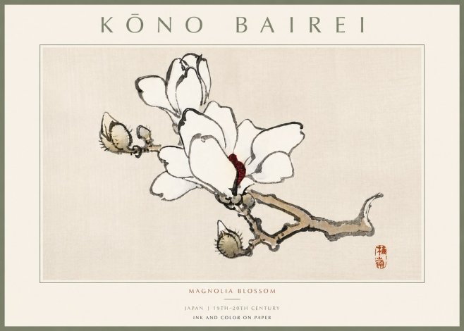 Kōno Bairei Magnolia Blossom No5 - Poszter