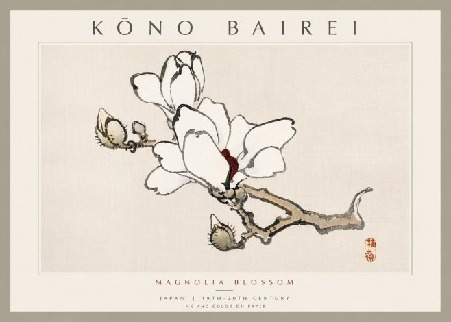 Kōno Bairei Magnolia Blossom No6 - Poszter