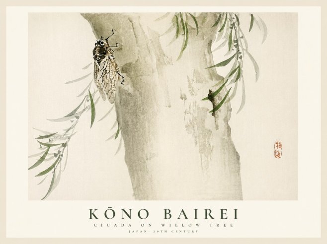 Kōno Bairei Cicada on Willow Tree No1 - Poszter