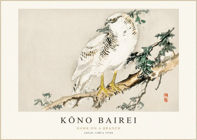 Kōno Bairei Hawk on a Branch No1 - Poszter