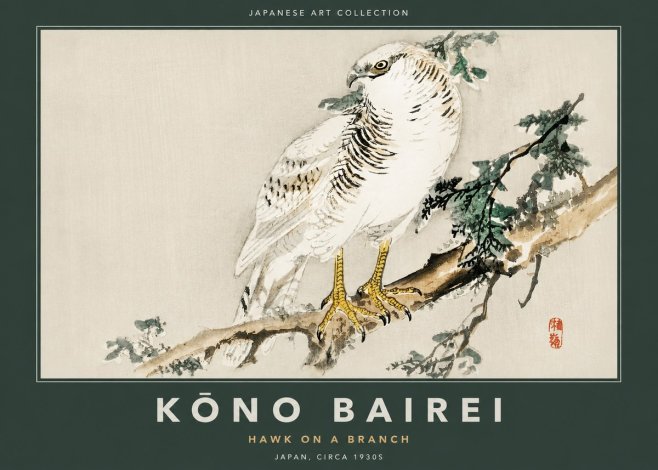 Kōno Bairei Hawk on a Branch No2 - Poszter