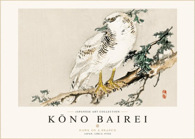 Kōno Bairei Hawk on a Branch No3 - Poszter