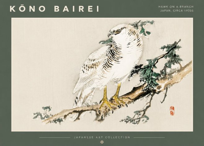 Kōno Bairei Hawk on a Branch No4 - Poszter