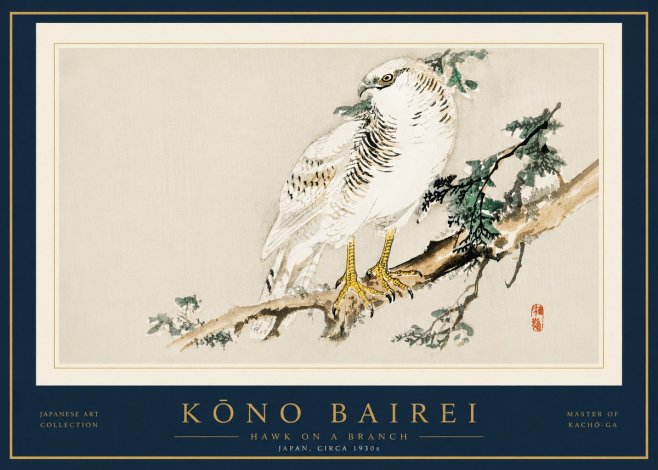 Kōno Bairei Hawk on a Branch No5 - Poszter