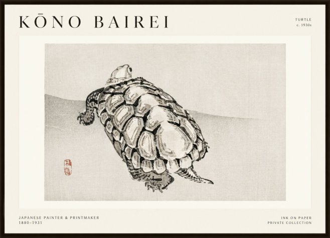 Kōno Bairei Turtle No1 - Poszter