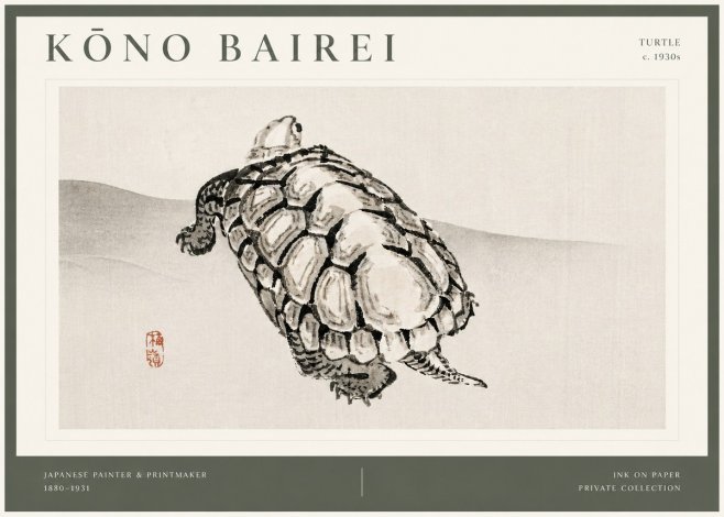 Kōno Bairei Turtle No4 - Poszter