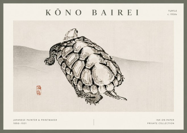 Kōno Bairei Turtle No5 - Poszter