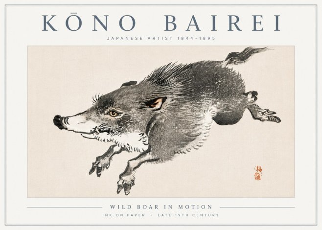 Kōno Bairei Wild Boar in Motion No6 - Poszter