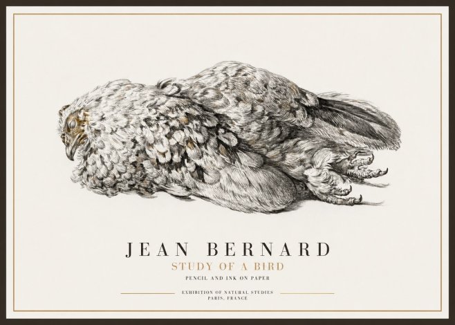 Jean Bernard Study of a Bird I No1 - Poszter