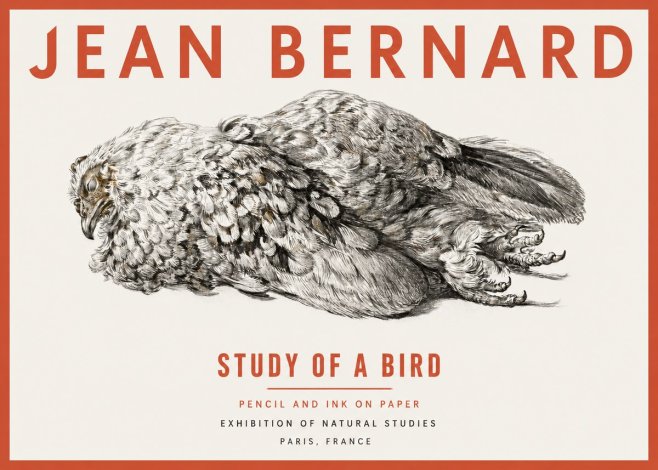 Jean Bernard Study of a Bird I No2 - Poszter