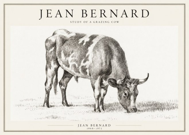 Jean Bernard Grazing Cow I No2 - Poszter