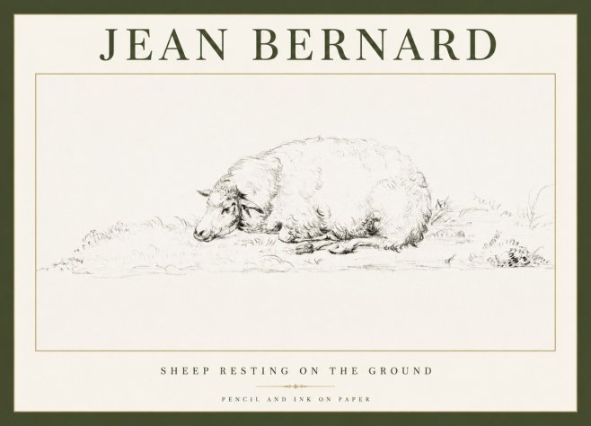 Jean Bernard Sheep Resting on the Ground No1 - Poszter