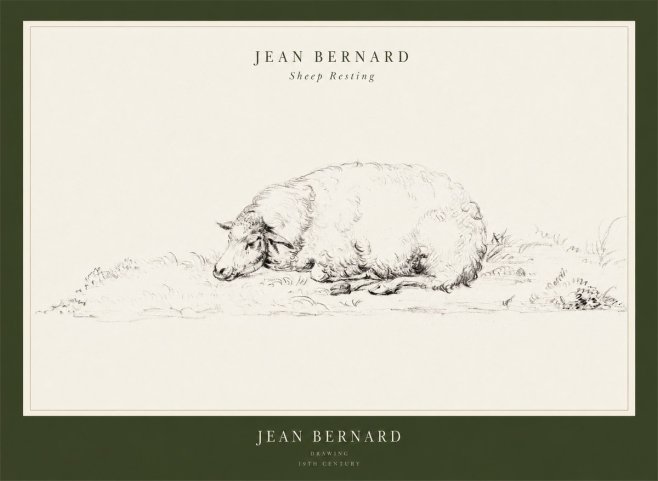 Jean Bernard Sheep Resting on the Ground No3 - Poszter