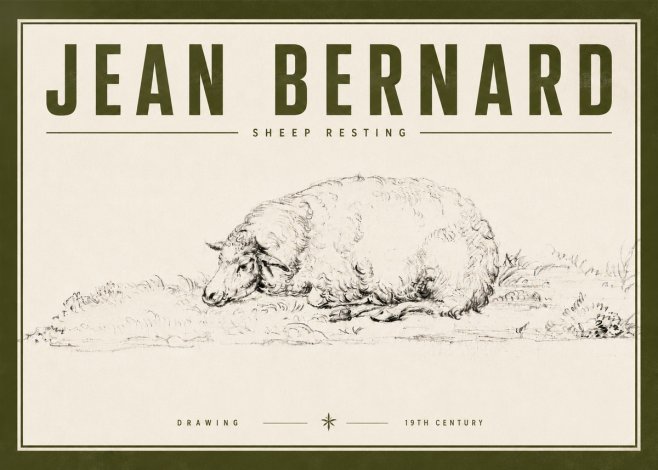 Jean Bernard Sheep Resting on the Ground No6 - Poszter
